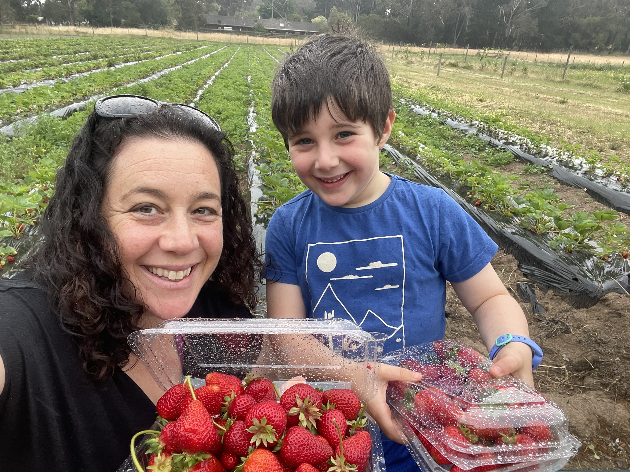 Mother and son picking strawberries
